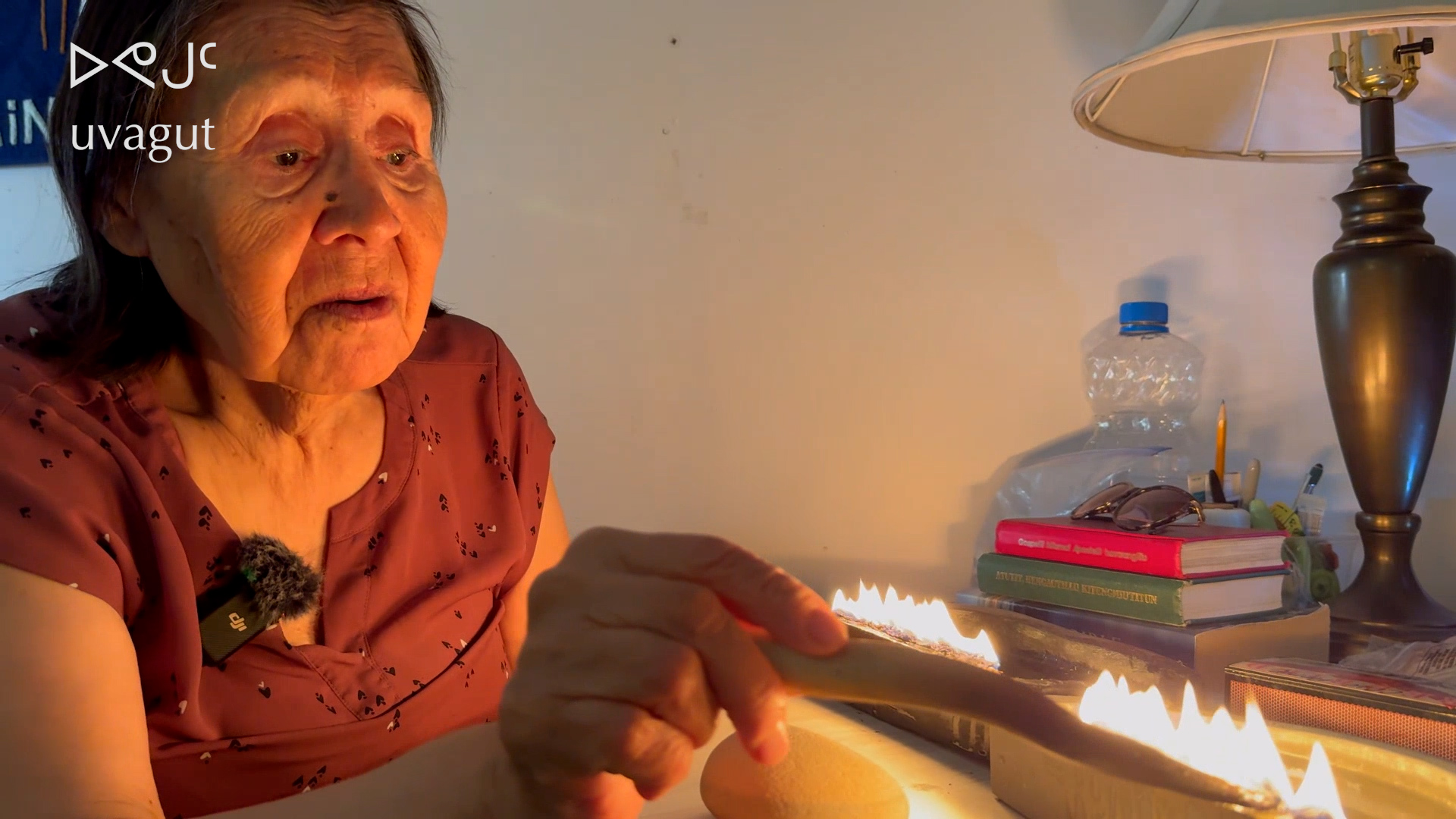 Tunnganarniq Nunagijavut: Inuvik -  Annie Goose