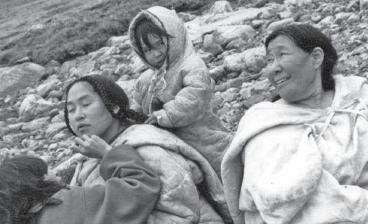 The Inuit Style of Filmmaking Lesson