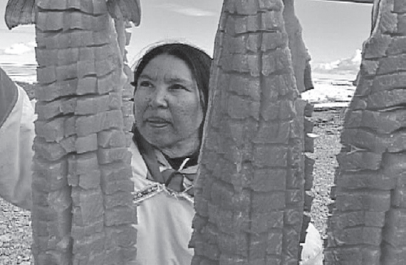 The Traditional Foods of the Inuit Lesson
