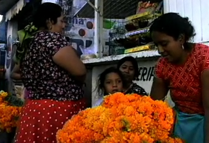 Flor de Cempazuchitl 