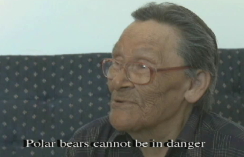 Polar Bears Cannot Be In Danger