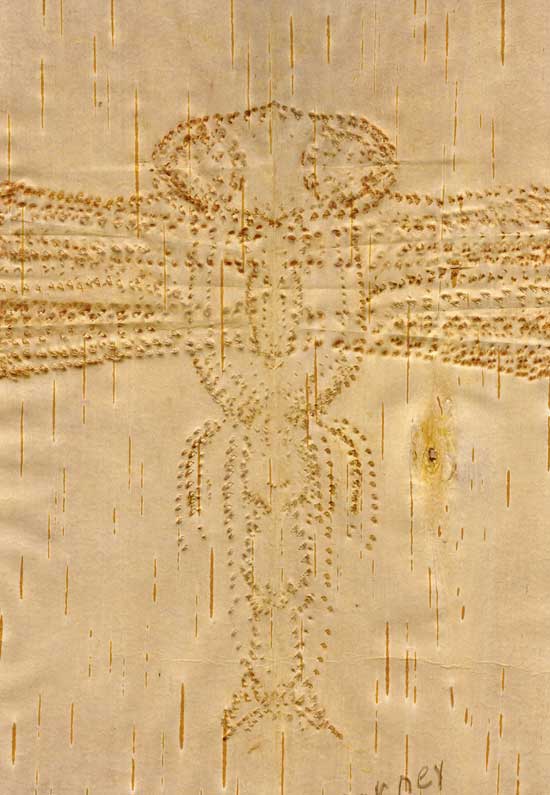 Birch Bark Biting: Background