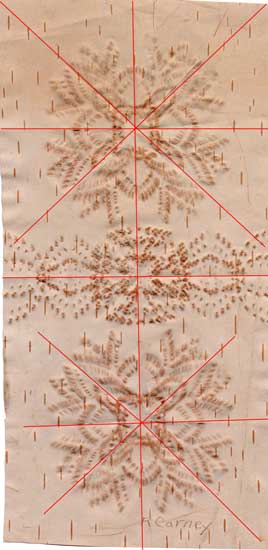 Introduction Activites for Birch Bark Biting