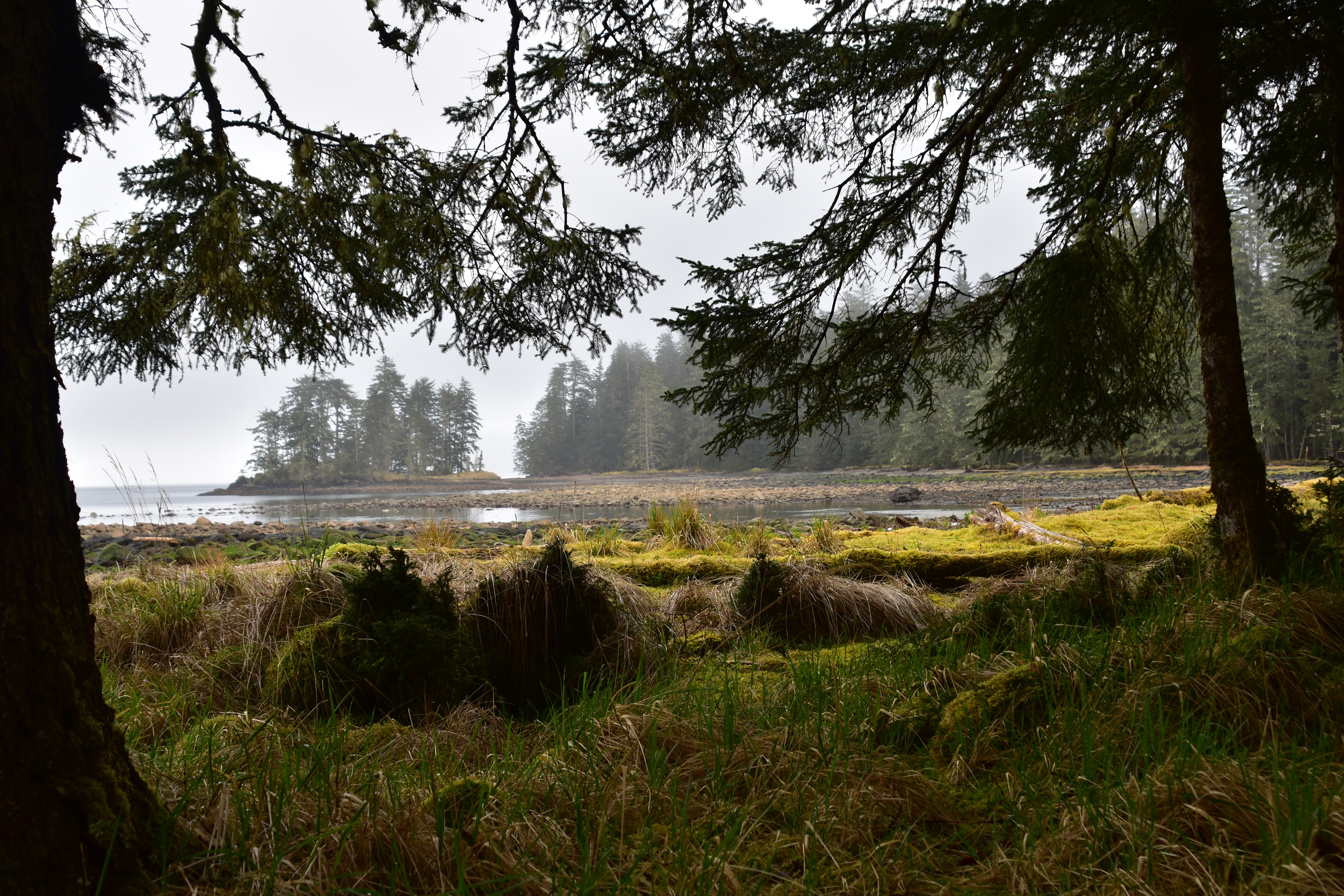 Haida Gwaii Language & Film