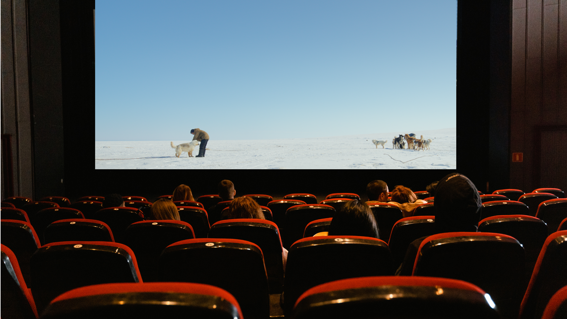 Screenings