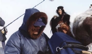 The Art of Inuit Story-Telling